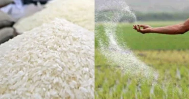 Govt to import rice, fertiliser, diesel
