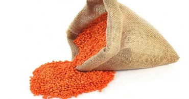Govt approves purchase of 10,000 tonnes of lentils