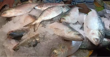 Hilsa gets cheaper as veggies, onions, eggs, chicken cost more in Dhaka