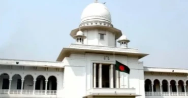 No tree felling without authorities’ permission: HC