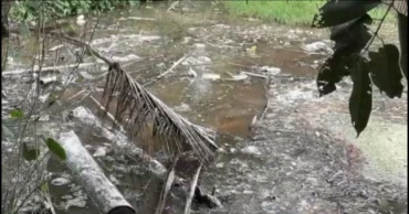 Unregulated poultry farms push Feni into a growing environmental crisis