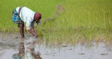Can Bangladesh reverse the decline in farming hands?