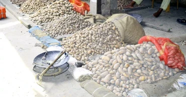 Price Crash: Potato farmers’ hopes in northern Bangladesh fading fast