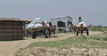 Wheels of Survival: How horse carts, motorbikes drive life in Faridpur’s emerging charlands