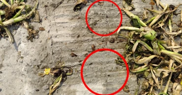 Newly paved road in Cumilla’s Chandina develops cracks in two days