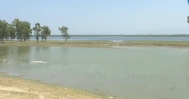 Shattered lives: How Rohingya crisis steals sea from Teknaf’s fishermen