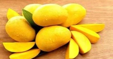 The surprising health benefits of mangoes, says nutritionist