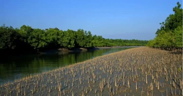  Pirate panic forces 10,000 Sundarbans fishermen to halt fishing