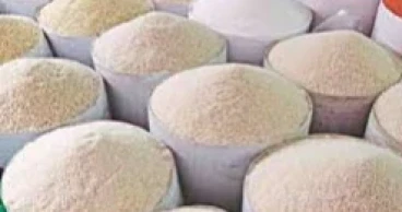 Rice prices keep food inflation high despite slight easing in Nov: GED