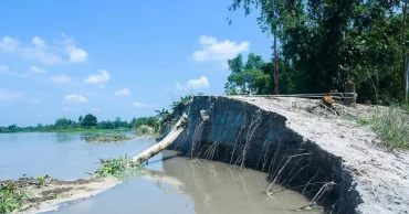 Thousands in agony as Teesta devours homes, farmland in north