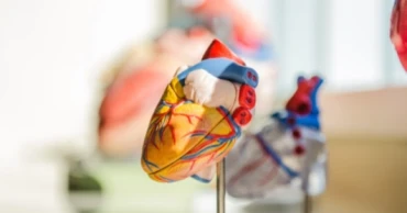 Remnant Cholesterol and its impact on heart health