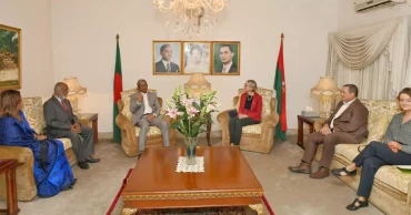 British envoy meets Fakhrul; discusses election, political situation