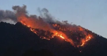 Kashmir’s forests ravaged by fires as human activity fuels surge