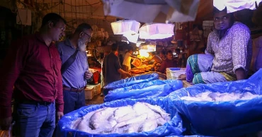 Climate change cuts Bangladesh’s hilsa haul, raising long-term supply risks