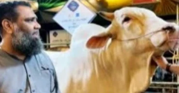 Sadeeq Agro chairman sent to jail in money laundering case