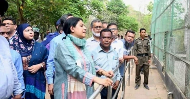 Severe punishment for those behind missing animals at Gazipur Safari Park: Rizwana