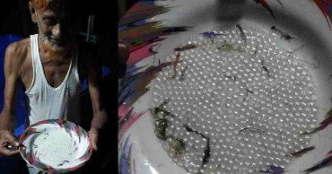 Mother fish release eggs in Halda