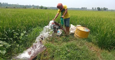 From Abundance to Scarcity: Salinity problem shrinks Narail’s farmlands