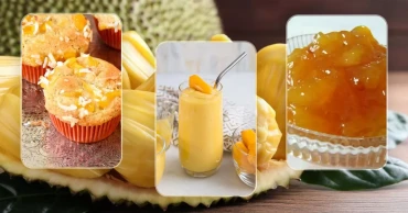 Delicious Jackfruit Recipes to Try Out Today