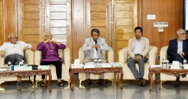 Referendum needed for future changes to caretaker system in constitution: Ali Riaz