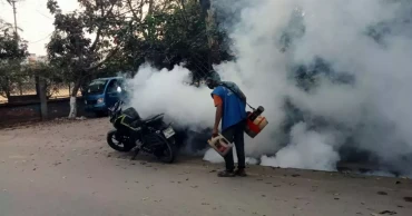 53 more dengue cases reported in 24 hours