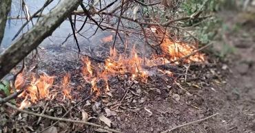 Sundarbans fire rages for 2 days, destroys five acres of forest
