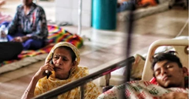 Dengue: 513 cases, 3 deaths reported in 24 hrs  