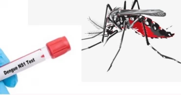 Two more dengue patients hospitalised in 24 hours