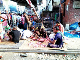 A makeshift beef bazaar in city that thrives on sacrificial meat  
