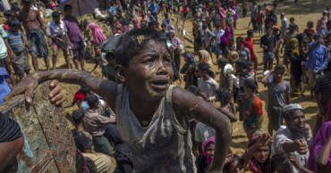 Myanmar urged to restore full citizenship rights to Rohingyas