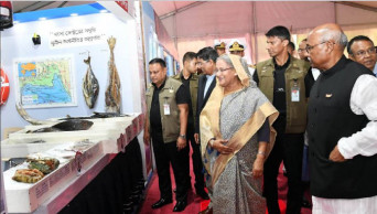 Maintain global standard in fish production for export: PM   