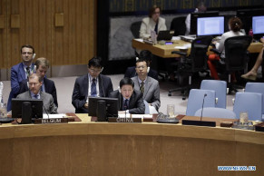 Chinese envoy calls for int'l support for DRC