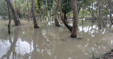 Depression: Tidal surges likely to inundate low-lying areas of coastal districts