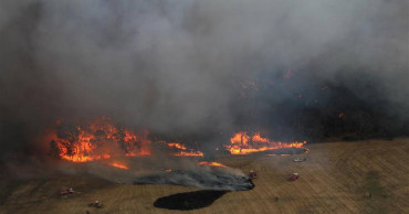 Cost of Australian bushfire crisis "unprecedented": recovery boss