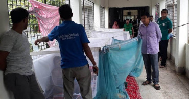 One dengue patient hospitalised in 24 hrs