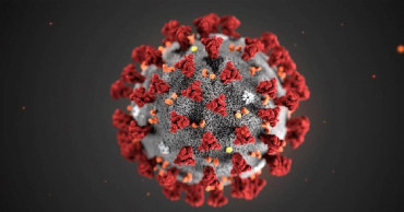 Experts prepare but new China virus not a pandemic yet