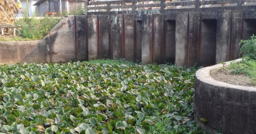 Sluice-gate keeps cropland flooded for 9 months a year