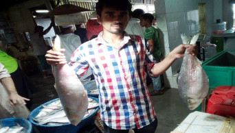 Hilsha selling like hot cake in wholesale market