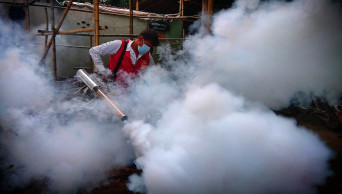 DNCC gets nod to import Tk 5.32-cr mosquito repellent, equipment