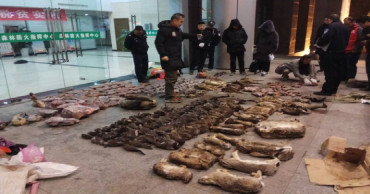 China virus outbreak revives calls to stop wildlife trade