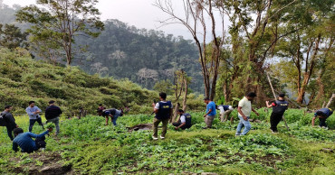 Poppy fields destroyed in Bandarban