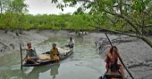 15 fishermen kidnapped in Sundarbans: 3 robbers held