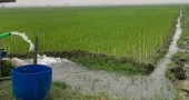 Tk 1,300cr GK irrigation rehabilitation project aims to revive southwest agriculture