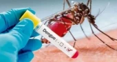 3 more die of dengue, 444 hospitalised in 24hrs: DGHS