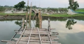 Eight villages cut off as bamboo bridge lies broken for a month in Kurigram