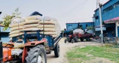 29 tonnes of govt rice seized during anti-hoarding drive in Naogaon