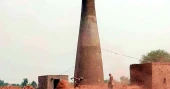 Illegal brick kilns: HC summons 3 div commissioners, 5 others 
