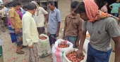 Onion vanishes: Faridpur faces price shock