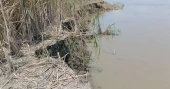 Low-lying area of Sirajganj flooded due to rise in water level of Jamuna