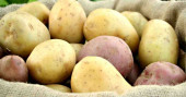 Bangladesh to supply potato to Russia, says Russian Embassy